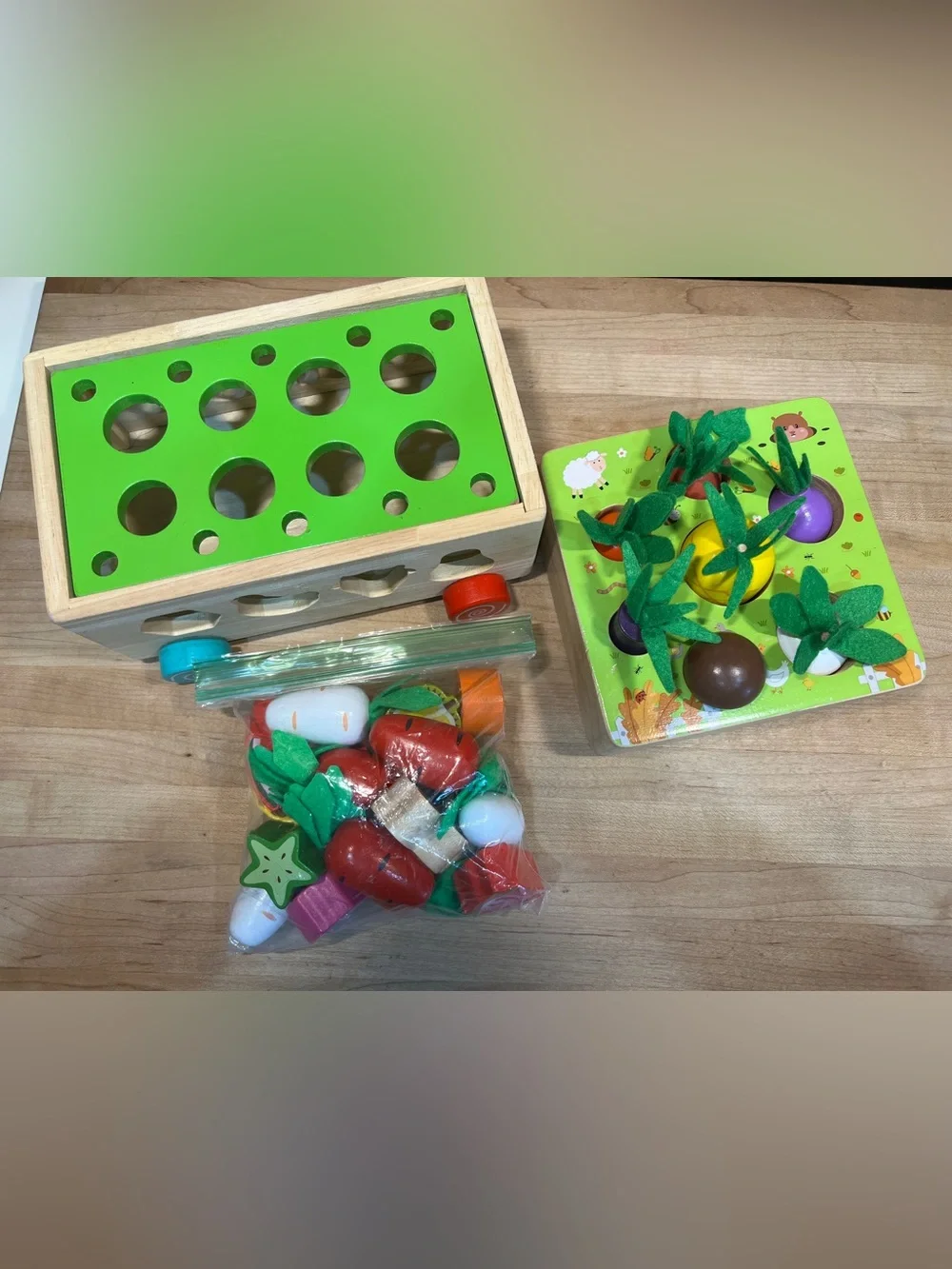 Wooden Garden Kids Toy Sorting and Play Set